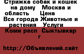 Стрижка собак и кошек на дому.  Москва и область.  › Цена ­ 1 200 - Все города Животные и растения » Услуги   . Коми респ.,Сыктывкар г.